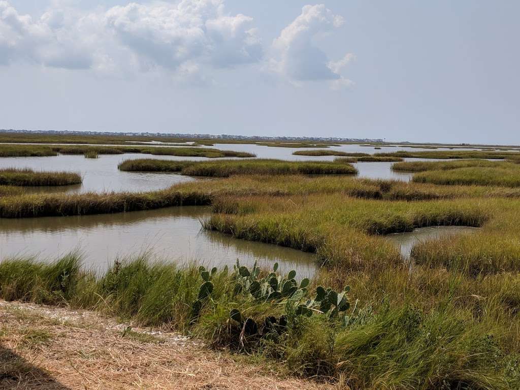 John M. OQuinn Nature Preserve | 2441 Hwy 6, Hitchcock, TX 77563