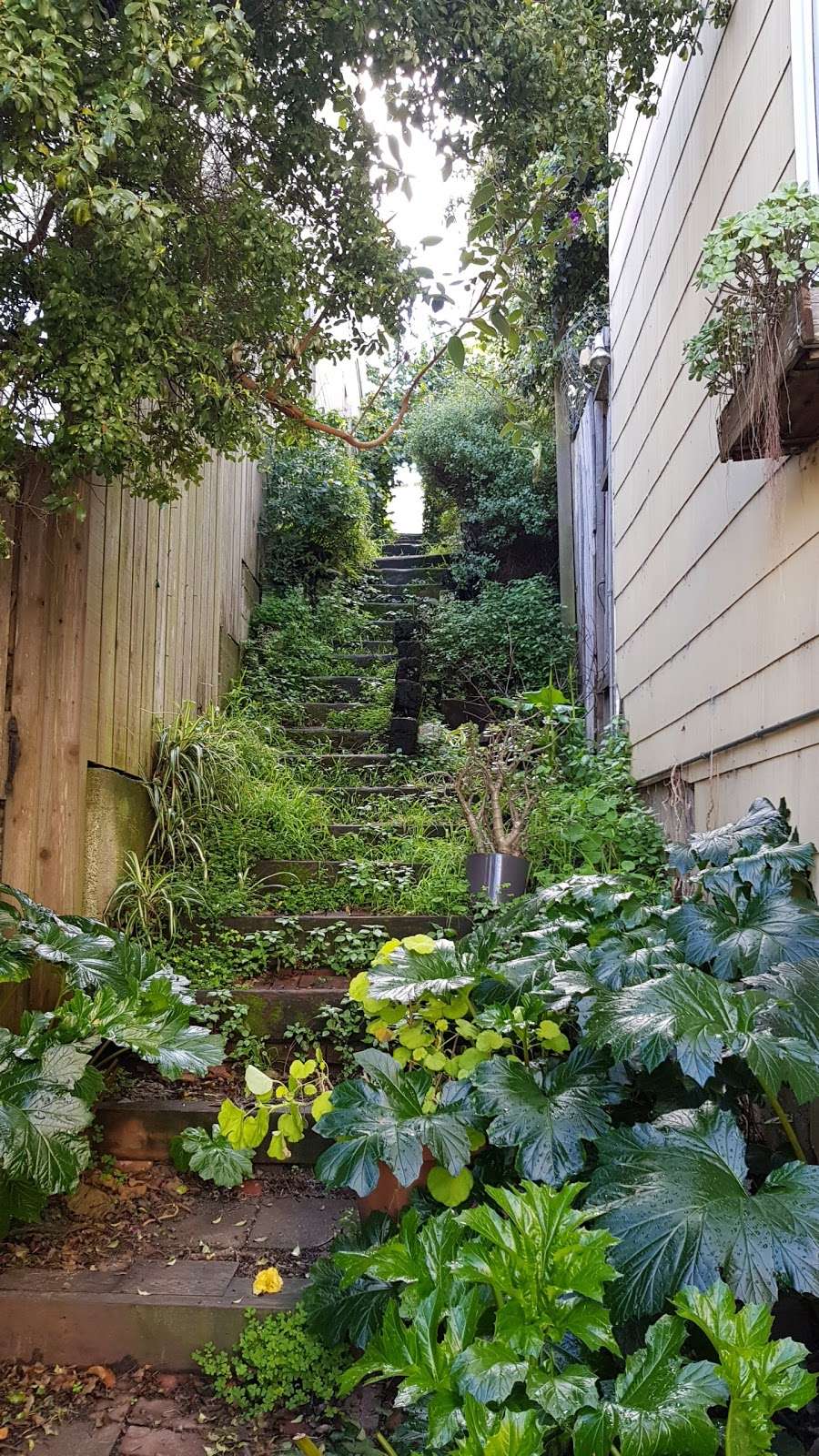 Neighborhood Playgarden | 59 Grand View Ave, San Francisco, CA 94114 | Phone: (415) 971-4963