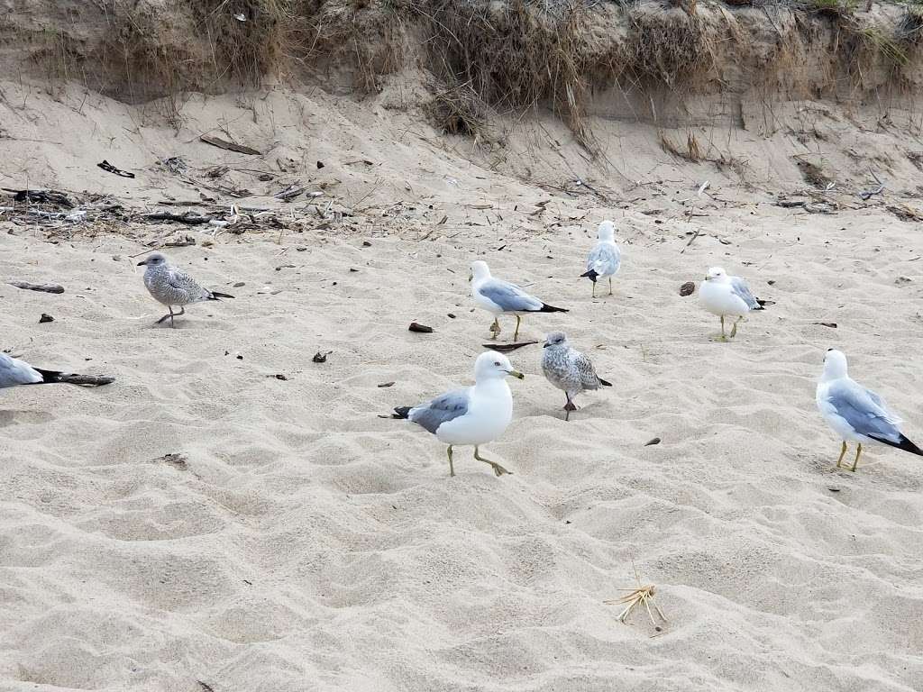 West Beach - Indiana Dunes National Lakeshore | 376 N County Line Rd, Gary, IN 46403, USA | Phone: (219) 395-1882