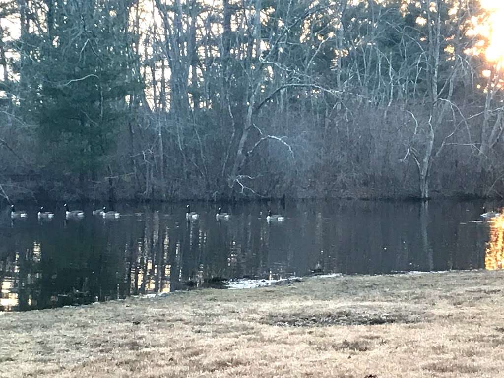 Bear Swamp | 351-, 399 Maxim Rd, Howell, NJ 07731, USA