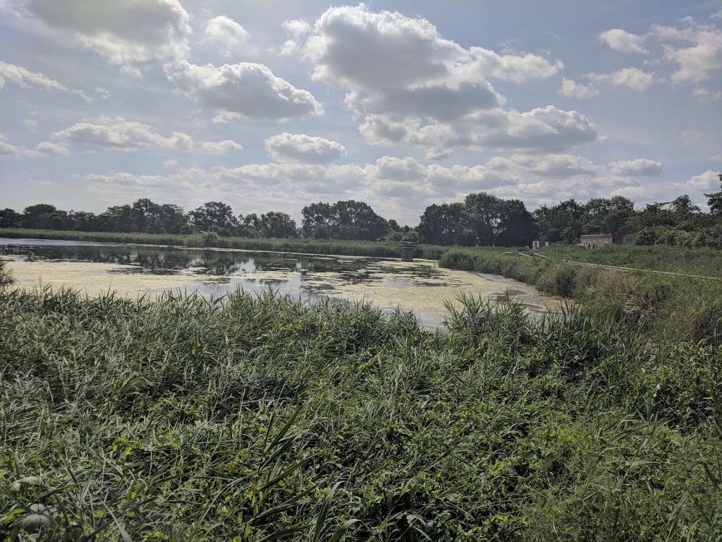 Woodberry Wetlands | Lordship Rd, New River Path, Woodberry Down, London N16 5HQ, UK | Phone: 020 3897 6154