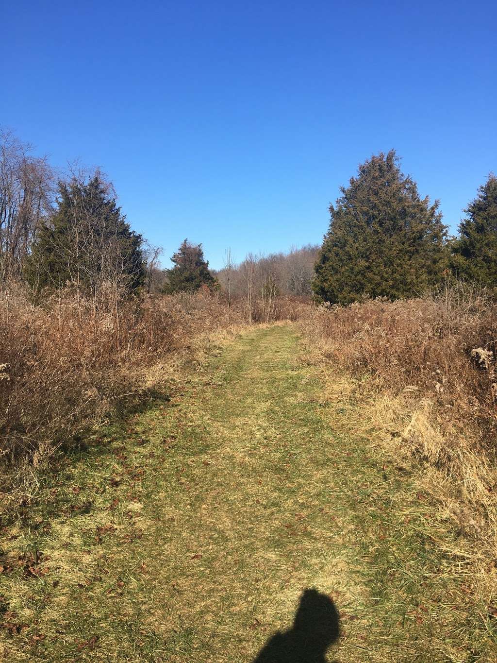 Blue Mash Nature Trail | 20400 Zion Rd, Gaithersburg, MD 20882, USA | Phone: (301) 495-4500