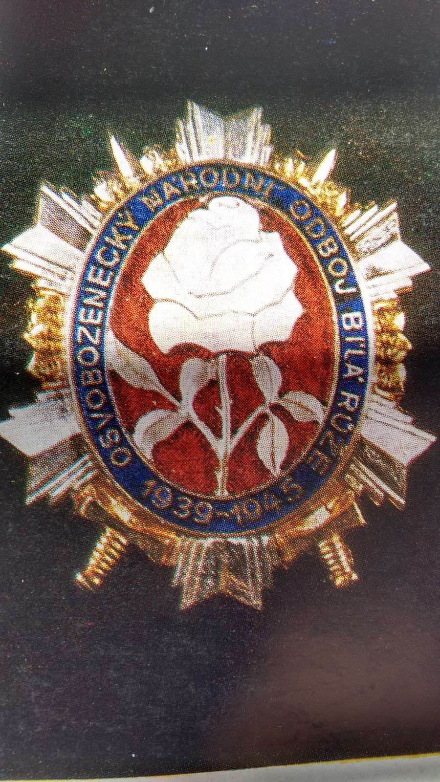 Lily Garden Restaurant 2106 Algonquin Rd, Lake in the Hills, IL 60156