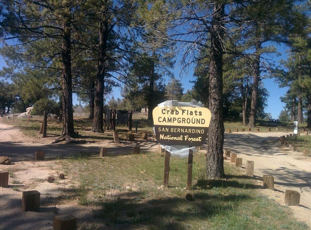 Crab Flats Family Campground | Crab Flats Rd, Running Springs, CA 92382, USA | Phone: (909) 382-2790