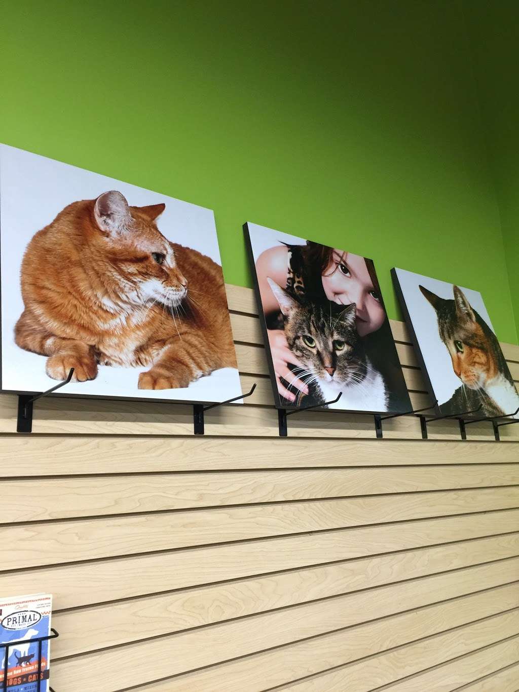 Pure Paws | 10060 Woodland Rd, Lenexa, KS 66220, USA | Phone: (913) 254-7303