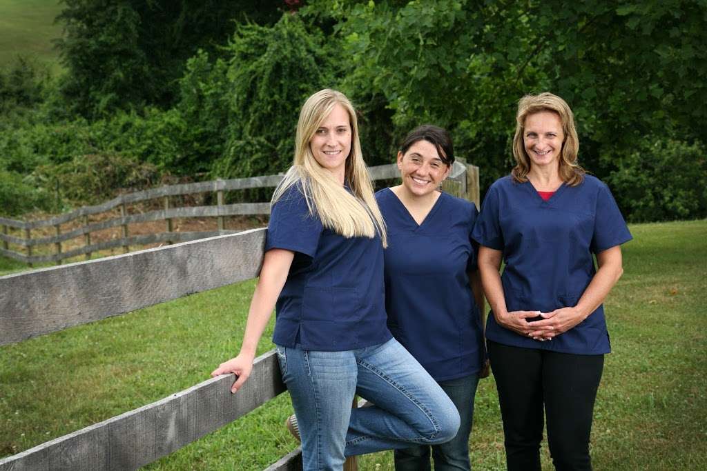 Animals First Veterinary Service | 14041 Highland Hunter Trail, Rixeyville, VA 22737, USA | Phone: (540) 937-6683