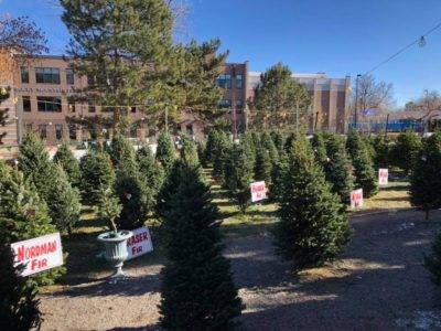 Neighborhood Christmas Tree Co. | 7301 S Santa Fe Dr, Littleton, CO 80120, USA | Phone: (303) 478-0373