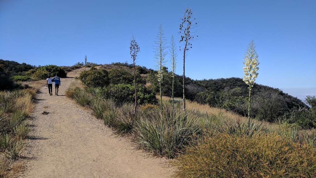 Paseo Miramar Trail | Paseo Miramar Trail, Malibu, CA 90265, USA