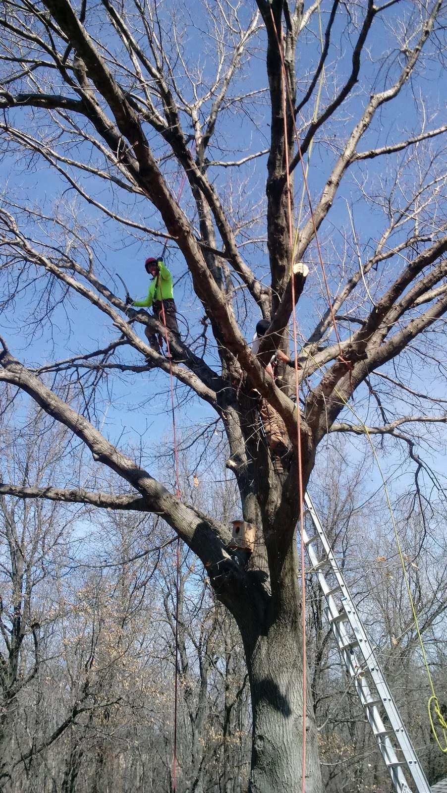 Stone Creek Nature Trail | Corner of &, Hillcrest St & Redbud Ave, Pleasant Hill, MO 64080 | Phone: (816) 540-3135