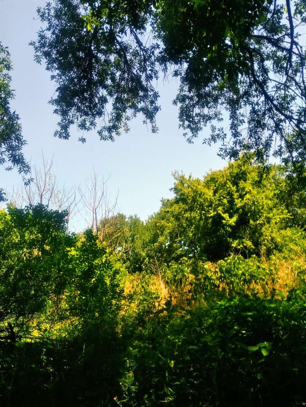 Cut Off Park | 909N FM1518, Schertz, TX 78154, USA | Phone: (210) 619-1850 Cut Off Park | 909N FM1518, Schertz, TX 78154, USA | Phone: (210) 619-1850