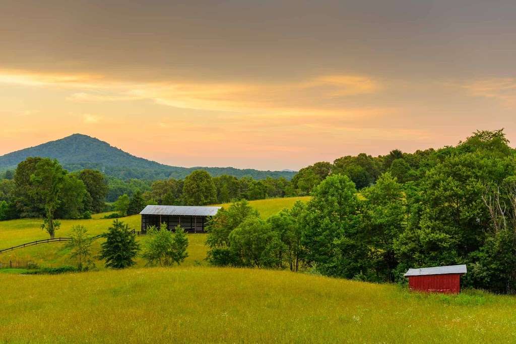 Castle Mountain Wingshooting | 164 Castle Mountain Rd, Castleton, VA 22716 | Phone: (540) 937-2520