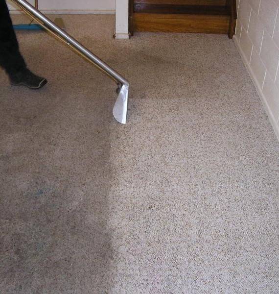 Green Carpet Cleaning Garland | 565 W Oates Rd, Garland, TX 75043 | Phone: (214) 432-1833