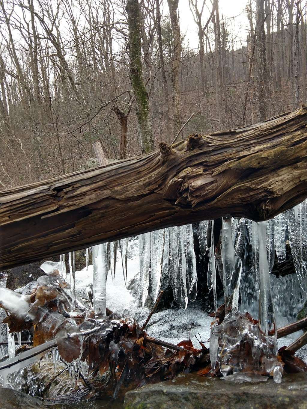 Hazel River Trailhead | Piedmont, VA 22740, USA