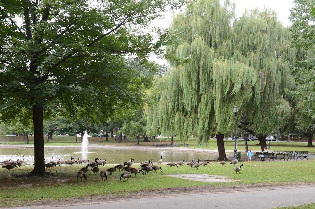 Bowne Park | 29th Ave. & 157th St, Flushing, NY 11354, USA | Phone: (212) 639-9675