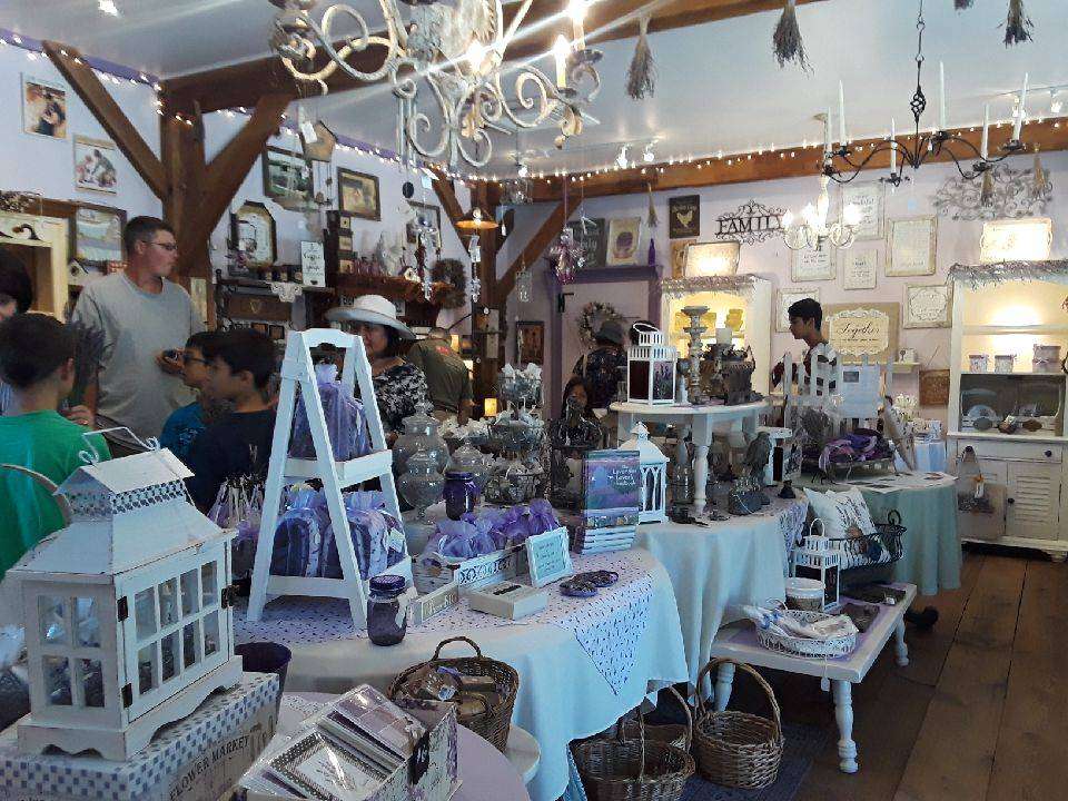 Orchard View Lavender Farm | 101 Karrsville Rd, Port Murray, NJ 07865 | Phone: (201) 341-8147