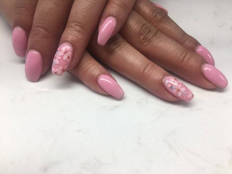 Thai Nails House By Ann | 1428 Quebec St, Denver, CO 80220, USA | Phone: (720) 466-5444