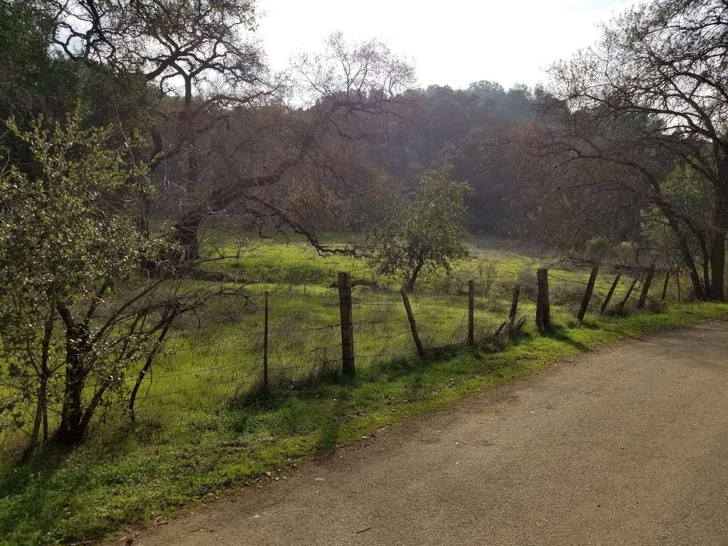 Almaden Quicksilver Hike | 17571 McAbee Rd, San Jose, CA 95120 | Phone: (408) 268-3883