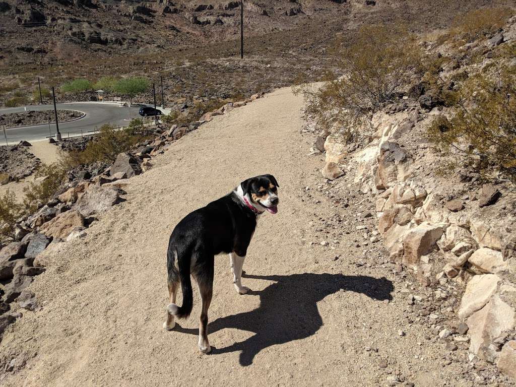 Amargosa Trailhead - Horizon Drive | 693 Jane Eyre Pl, Henderson, NV 89002, USA