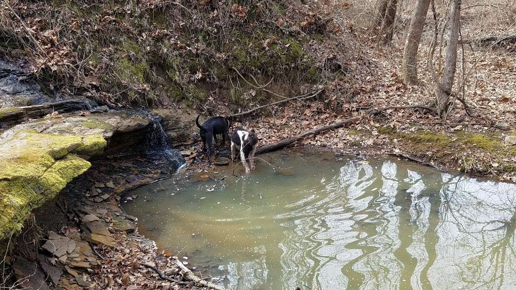 Pertle Springs Lake | Pertle Dr, Warrensburg, MO 64093, USA