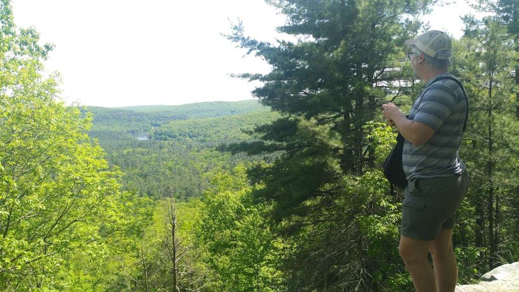 Tusten Mountain Trail | Narrowsburg, NY 12764, USA