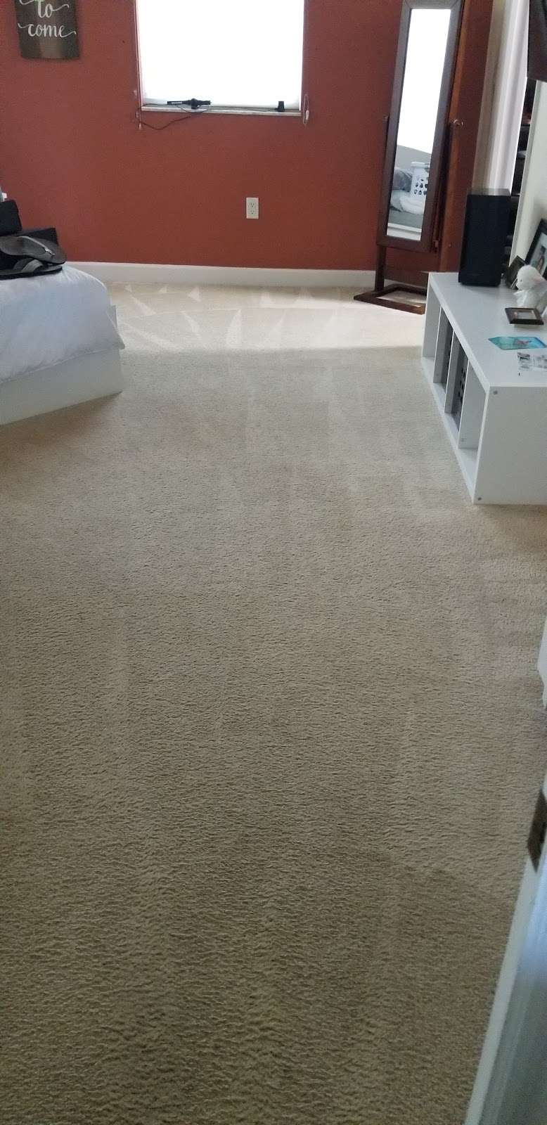 Tache Carpet cleaning services | 8137 Tumblestone Court #1111, Delray Beach, FL 33446 | Phone: (305) 646-8924