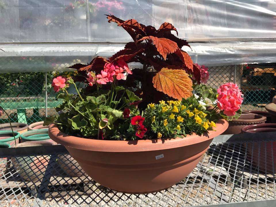 H & S Floral and Garden Center | 2621 U.S. 12, Michigan City, IN 46360, USA | Phone: (219) 879-4047