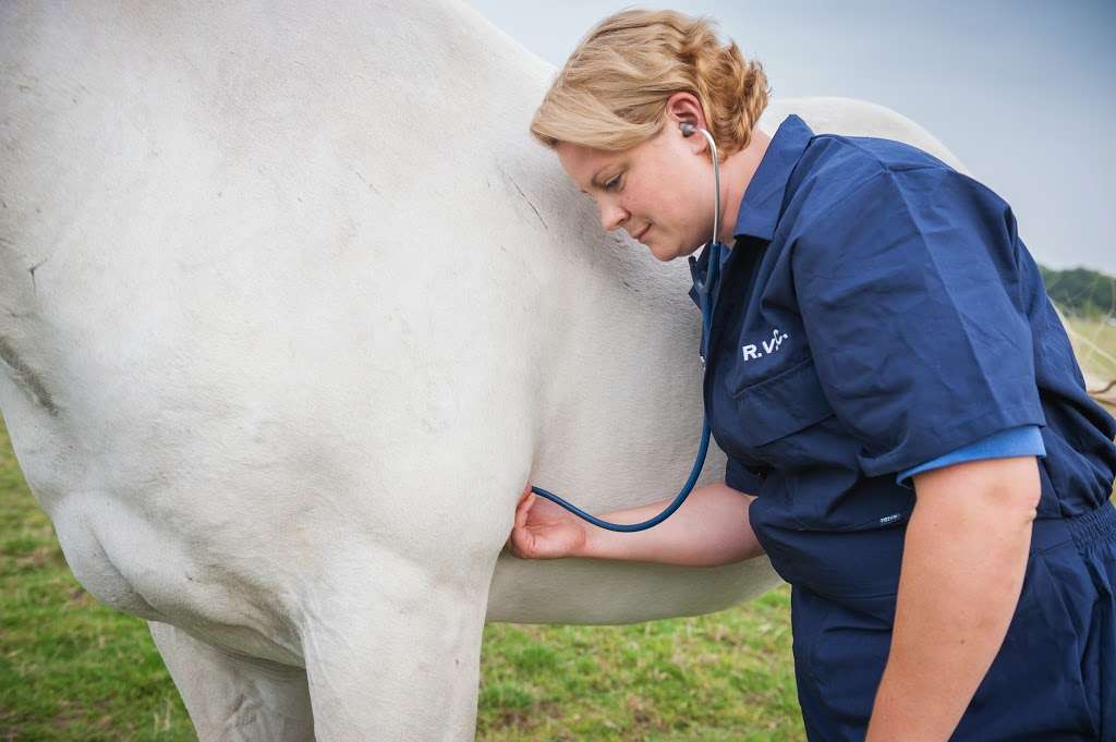 Royal Veterinary College Equine Practice and Referral Hospital | Hawkshead Ln, Brookmans Park, Hatfield AL9 7TA, UK | Phone: 01707 666297