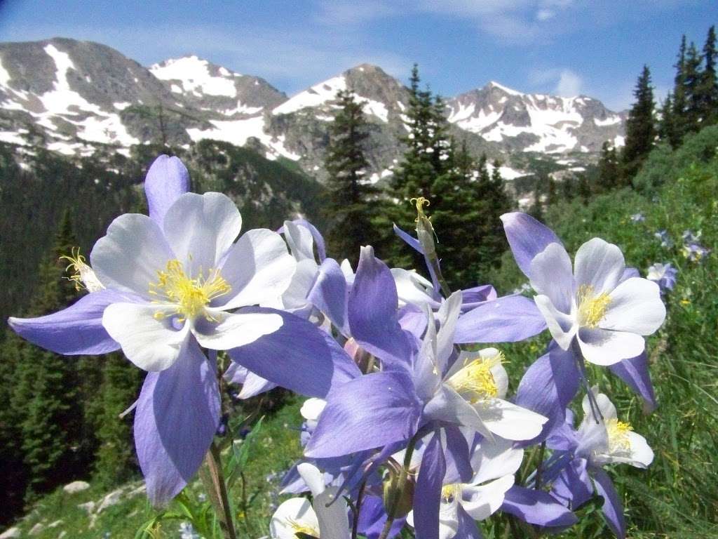 Caribou Lake | Indian Peaks Wilderness, Nederland, CO 80466, USA