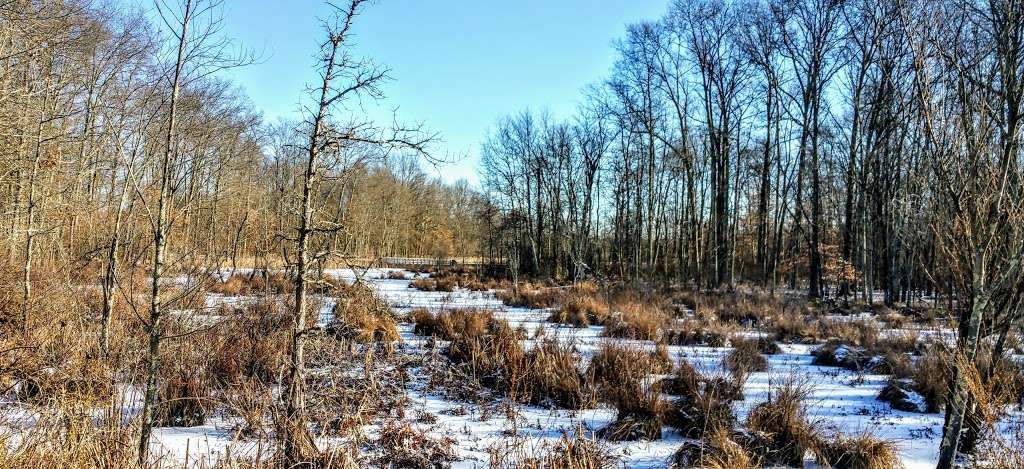 Great Swamp National Wildlife Refuge Wilderness Area | 220 Long Hill Rd, Gillette, NJ 07933, USA | Phone: (973) 425-1222