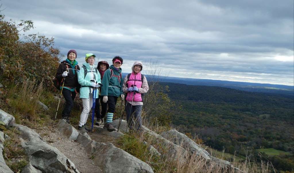Appalachian Trail | Unnamed Road, Hardwick Township, NJ 07825, USA