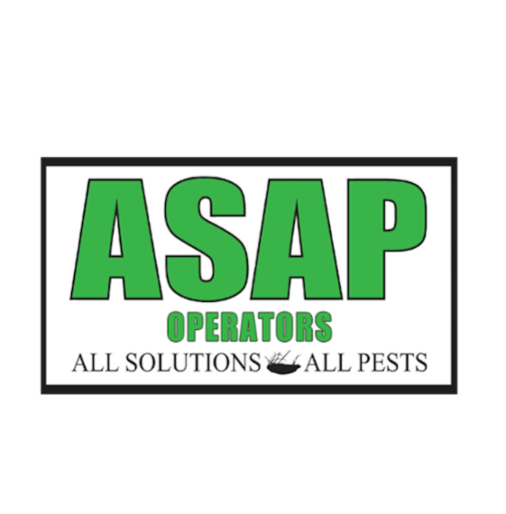 ASAP All Solutions All Pests & Chimney Sweeping | 4249, 6010 Springbrook Ct, Sugar Land, TX 77479