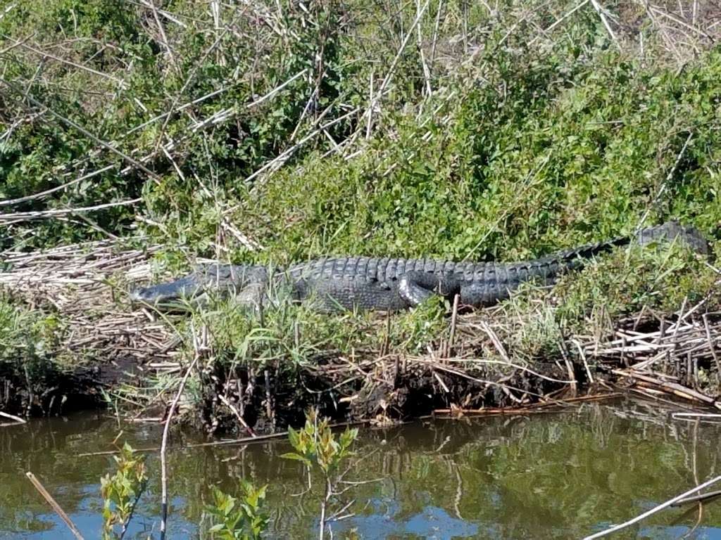 Lake Jesup Conservation Area | Sanford, FL 32773, USA