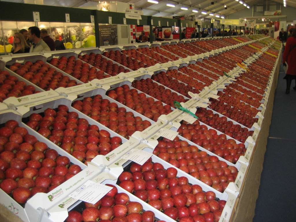 Pippins Farm Orchards | Pippins Farm, Tunbridge Wells TN2 4AB, UK | Phone: 01892 824569