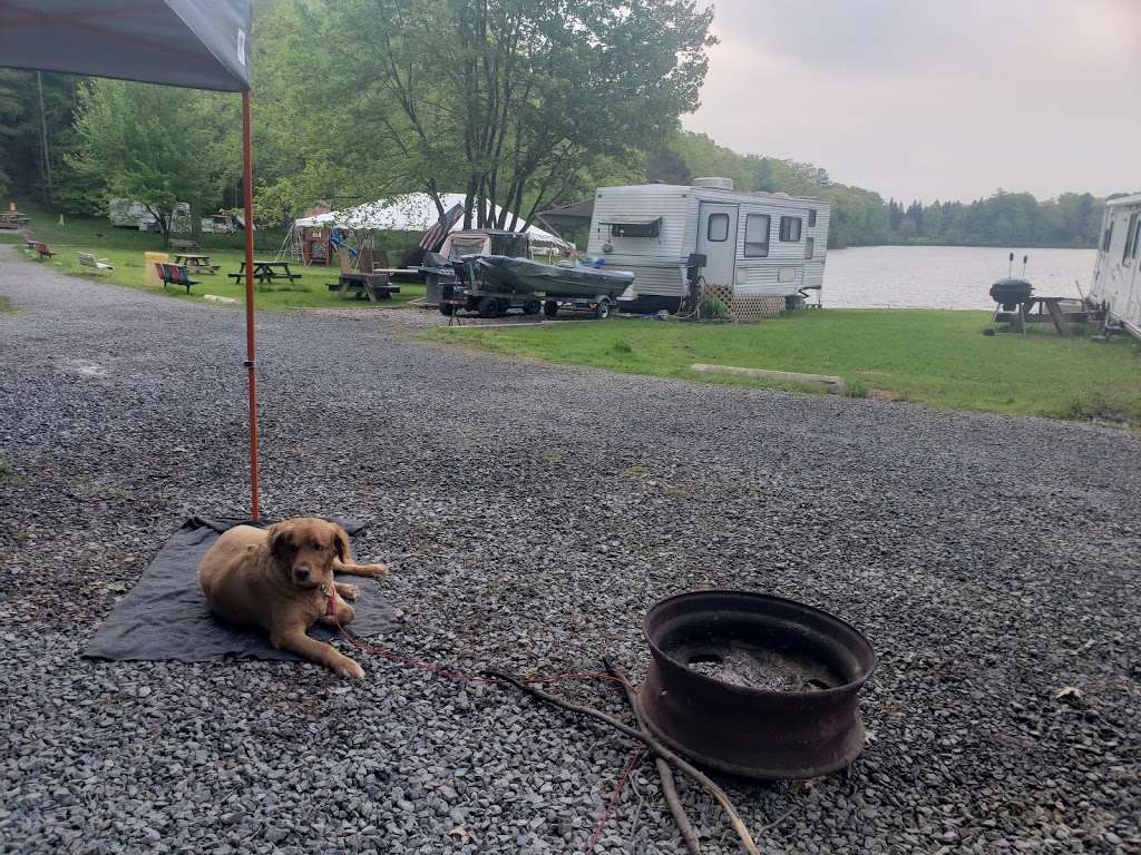 Hickory Grove Campground | 76 Cummings Rd, Dallas, PA 18612, USA | Phone: (570) 881-9784