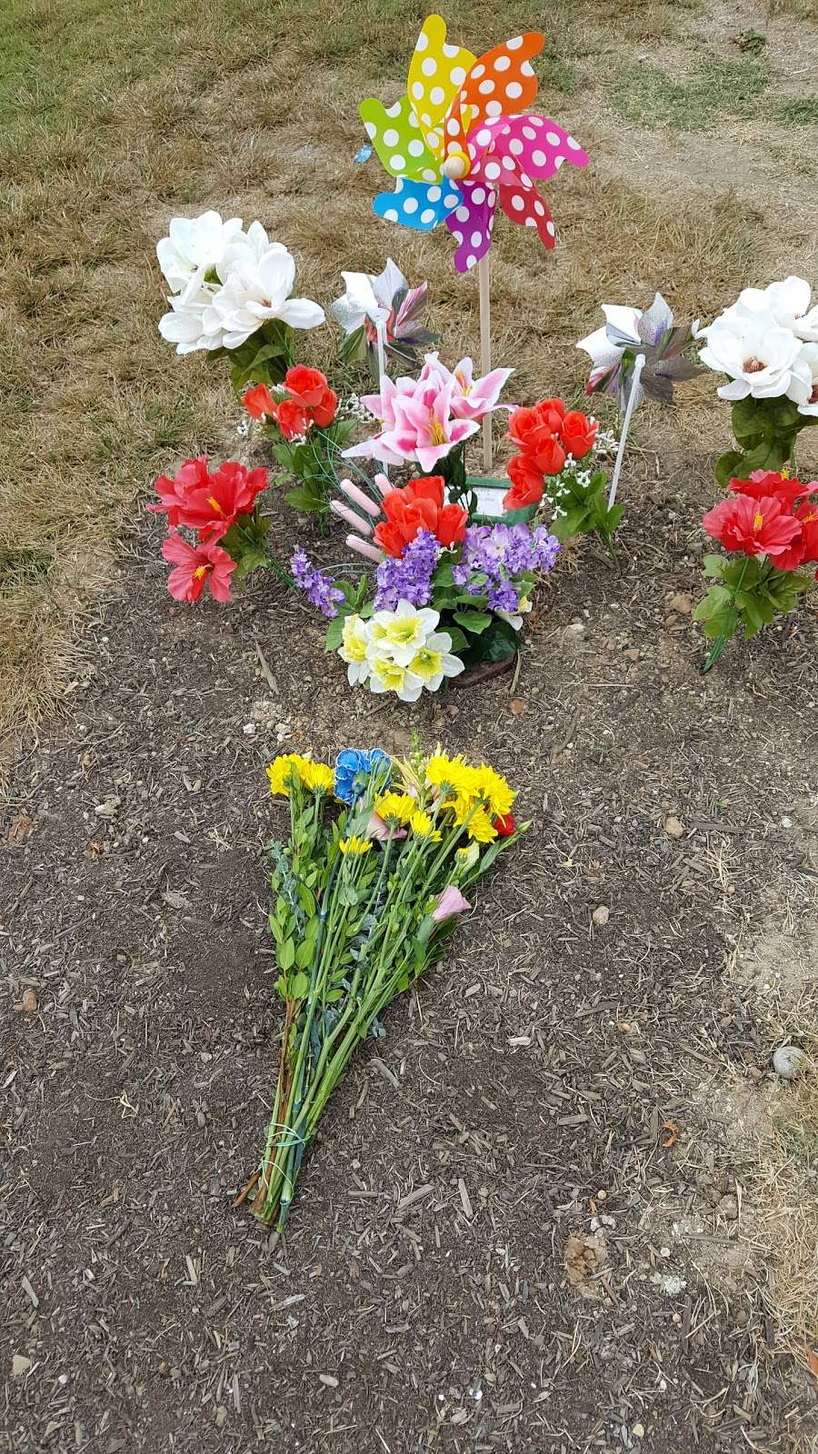 Glen Abbey Memorial Park & Mortuary | 3838 Bonita Rd, Bonita, CA 91902, USA | Phone: (619) 498-4600