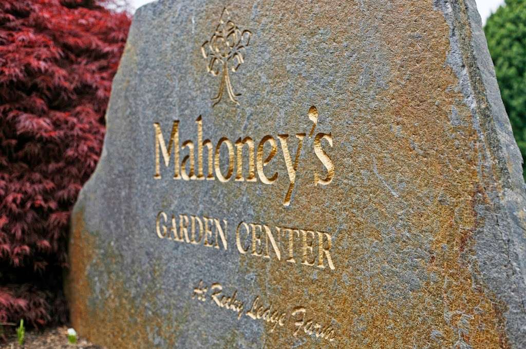 Mahoneys Garden Center | 242 Cambridge St, Winchester, MA 01890, USA | Phone: (781) 729-5900