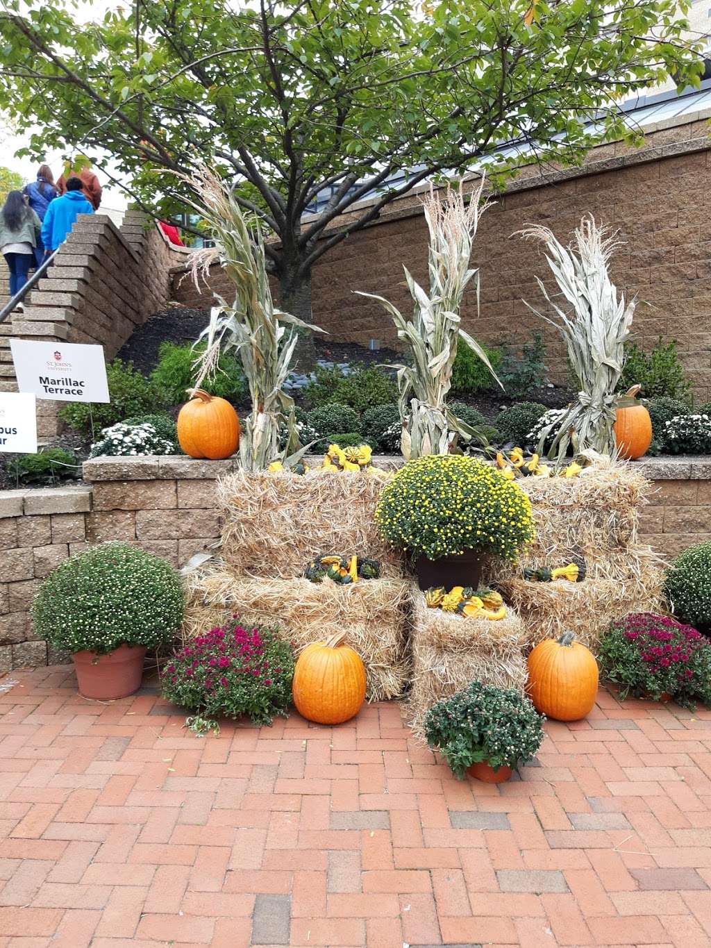 St. Augustine Hall | 8000 Utopia Pkwy, Jamaica, NY 11439, USA | Phone: (718) 990-6201