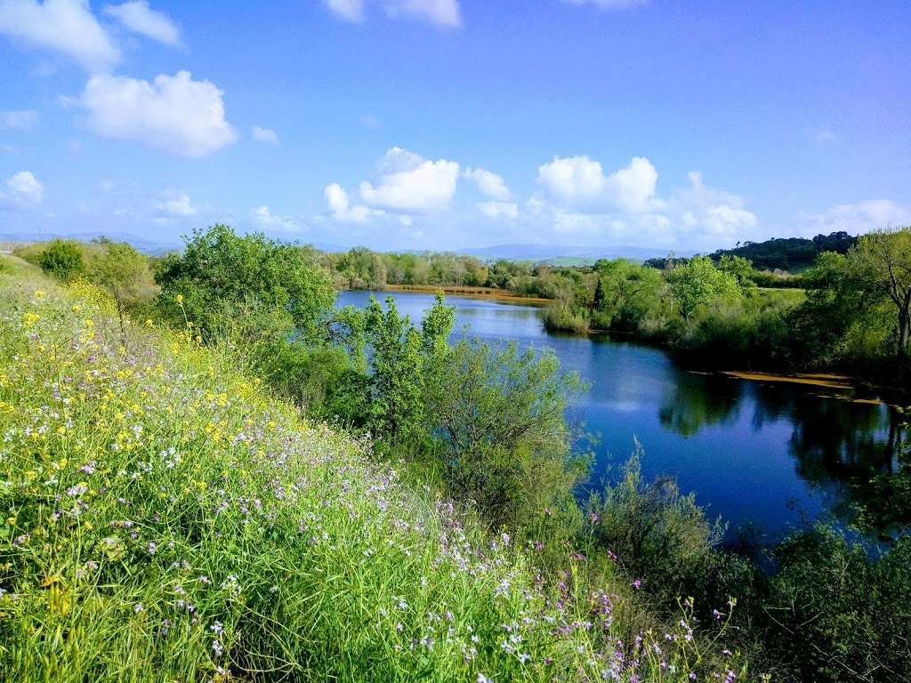 Shadow Cliffs Regional Recreation Area | 2500 Stanley Blvd, Pleasanton, CA 94566, USA | Phone: (510) 544-3230