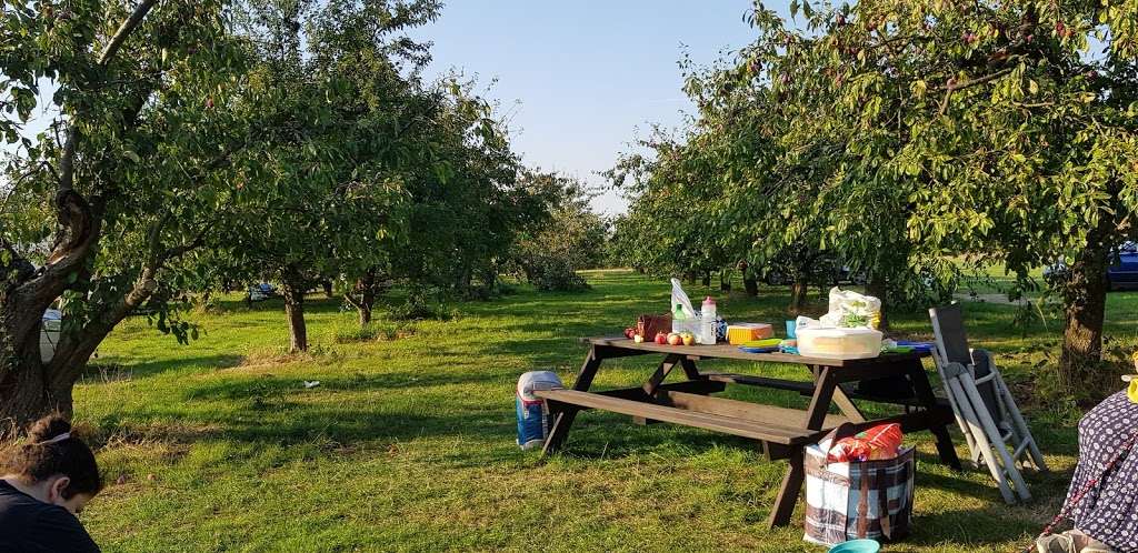 Bloomfield Fruit Farm | Ashlyns La, Ongar CM5 0NB, UK | Phone: 01992 522725