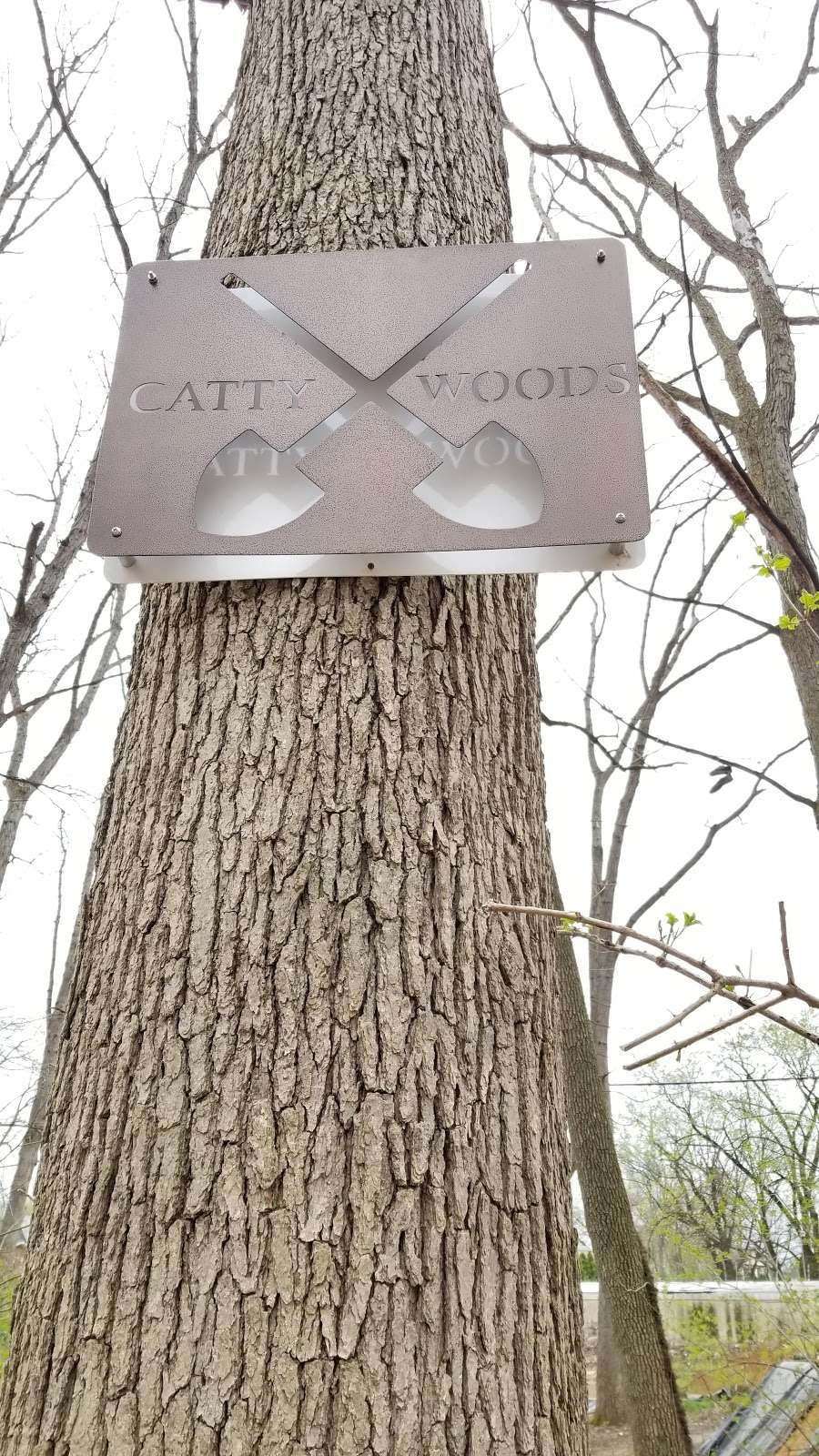 Catty Woods | 32 N 12th St, Catasauqua, PA 18032, USA
