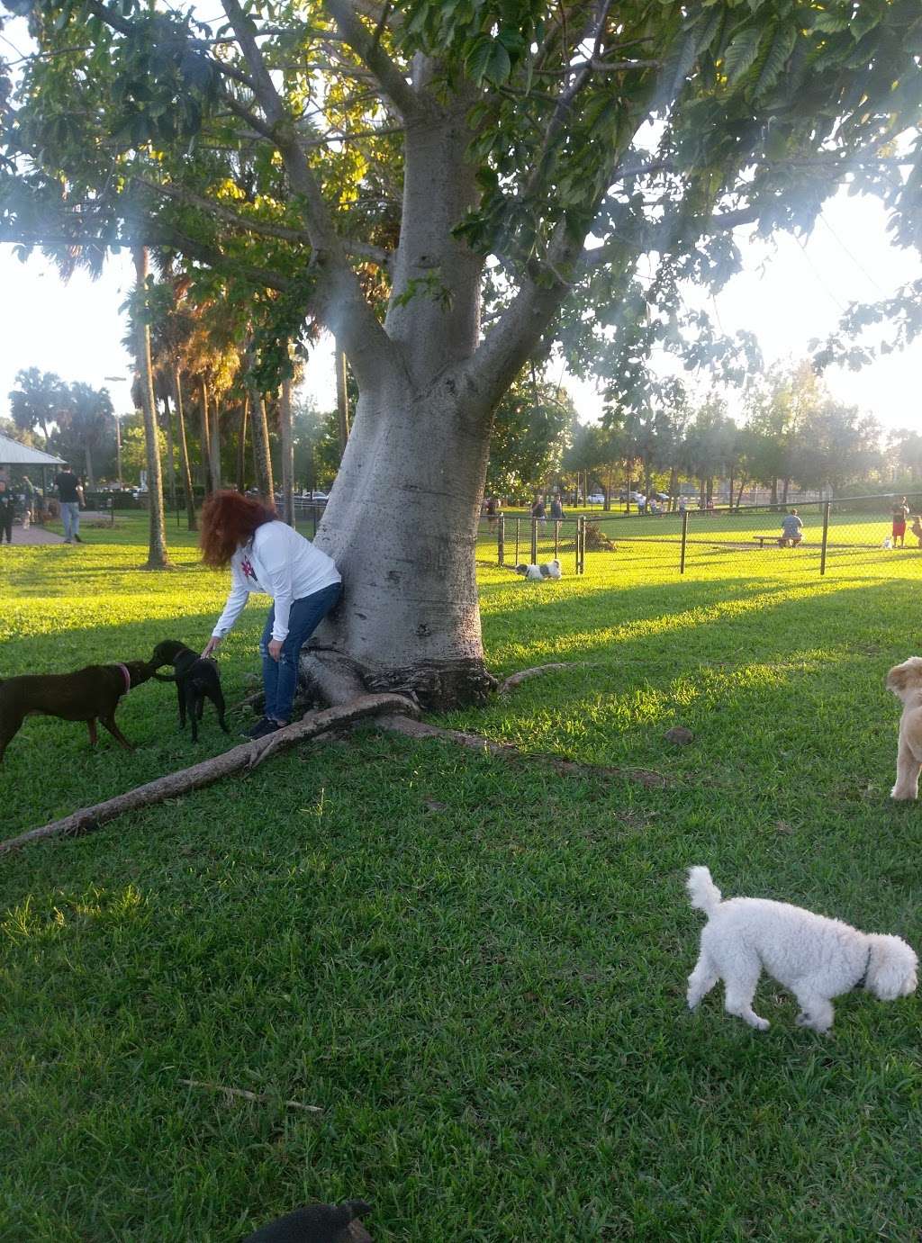 Happy Tails dog Park | 6600 SW 16th St, Plantation, FL 33317, USA | Phone: (954) 797-2200