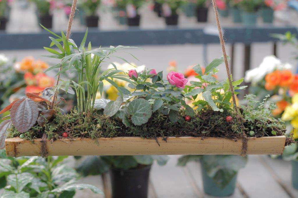 Esbenshades Garden Centers & Greenhouse | 546 E 28th Division Hwy, Lititz, PA 17543, USA | Phone: (717) 626-7007