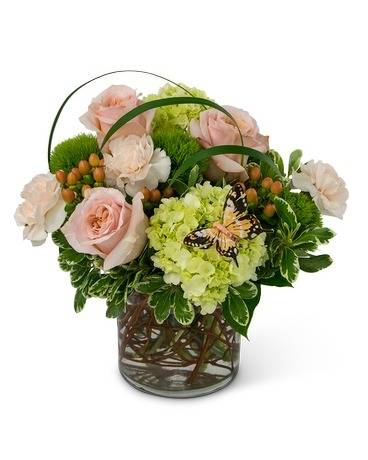 Glassing Florist | 7301 Babcock Trail, Inver Grove Heights, MN 55077, USA | Phone: (651) 457-2500