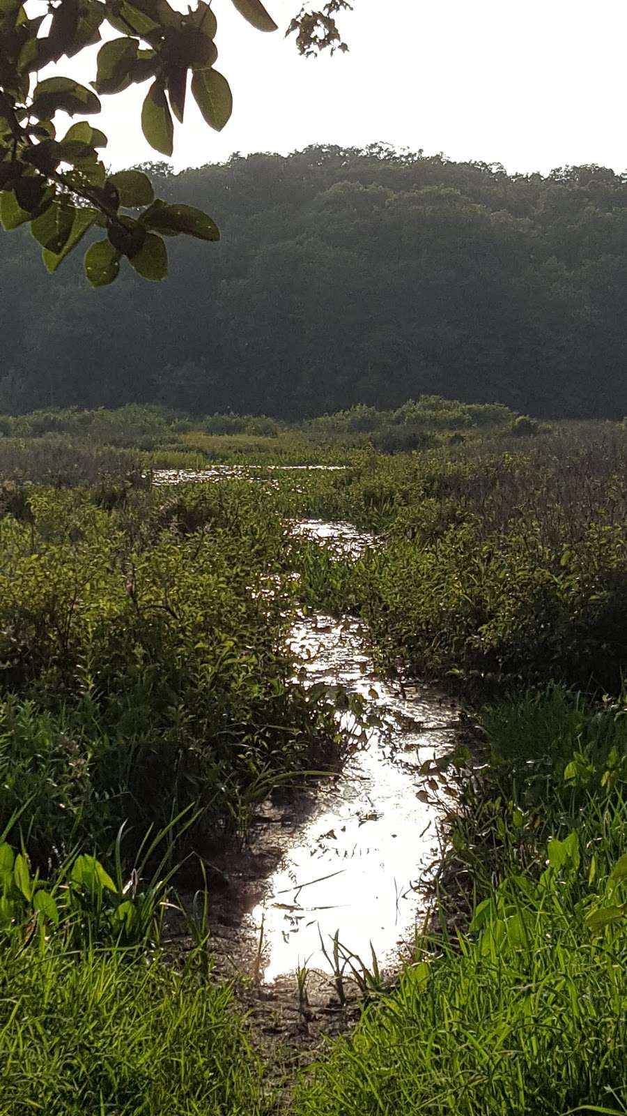 Long Pond Conservation Area | Lakeville, MA 02347, USA