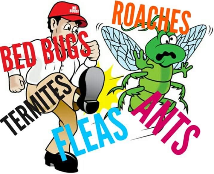 Mikes Pest Control | 16521 Leafy Meadow Dr, Conroe, TX 77302, USA | Phone: (832) 875-0290