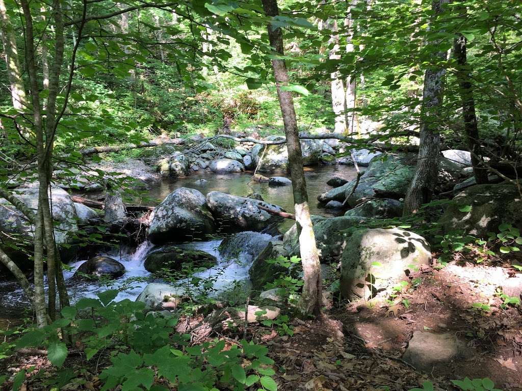 Nicholson Hollow Trail | 3063 State Rte 600, Etlan, VA 22719, USA