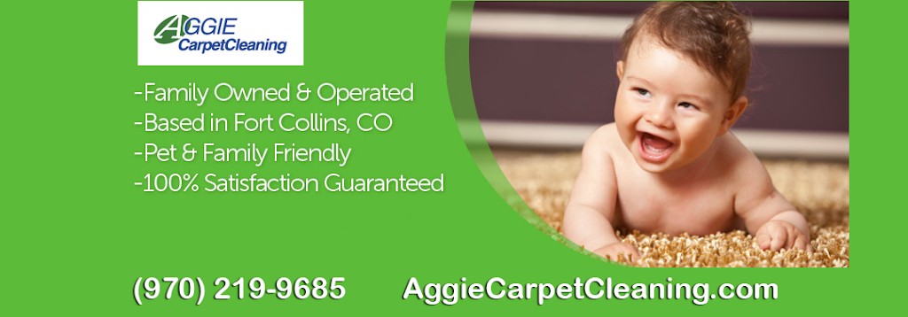 Aggie Carpet Cleaning | 126 W 47th Pl, Loveland, CO 80538 | Phone: (970) 219-9685