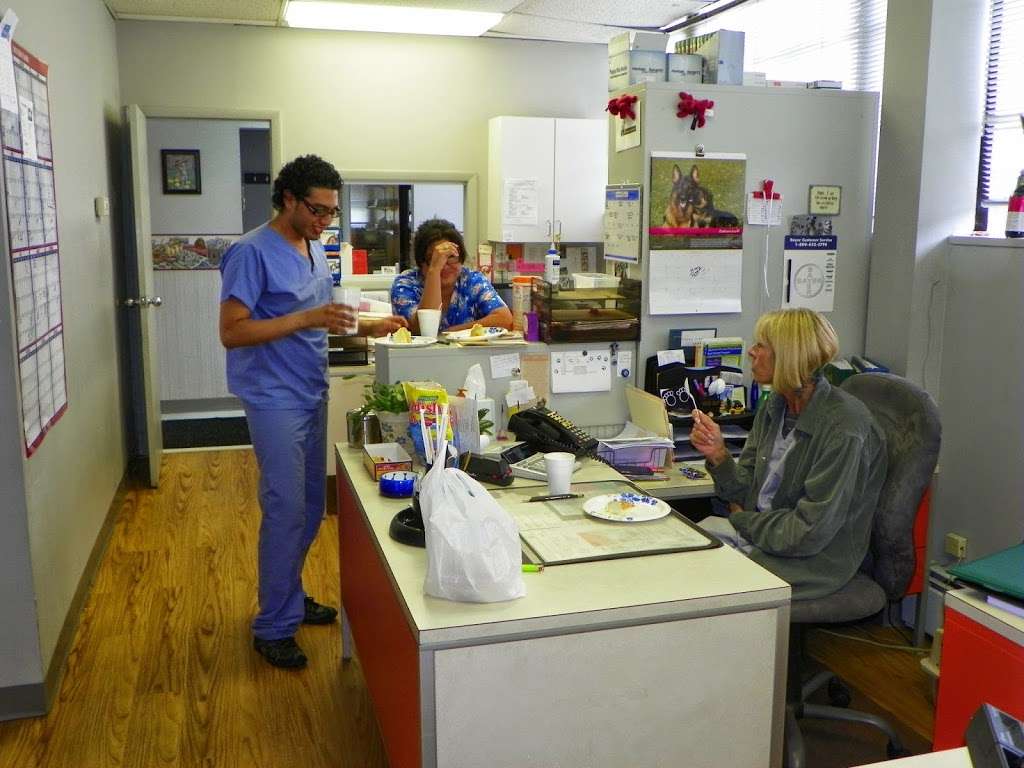 All Creatures Great & Small Animal Hospital | 238 Passaic Ave, Fairfield, NJ 07004 | Phone: (973) 575-0020