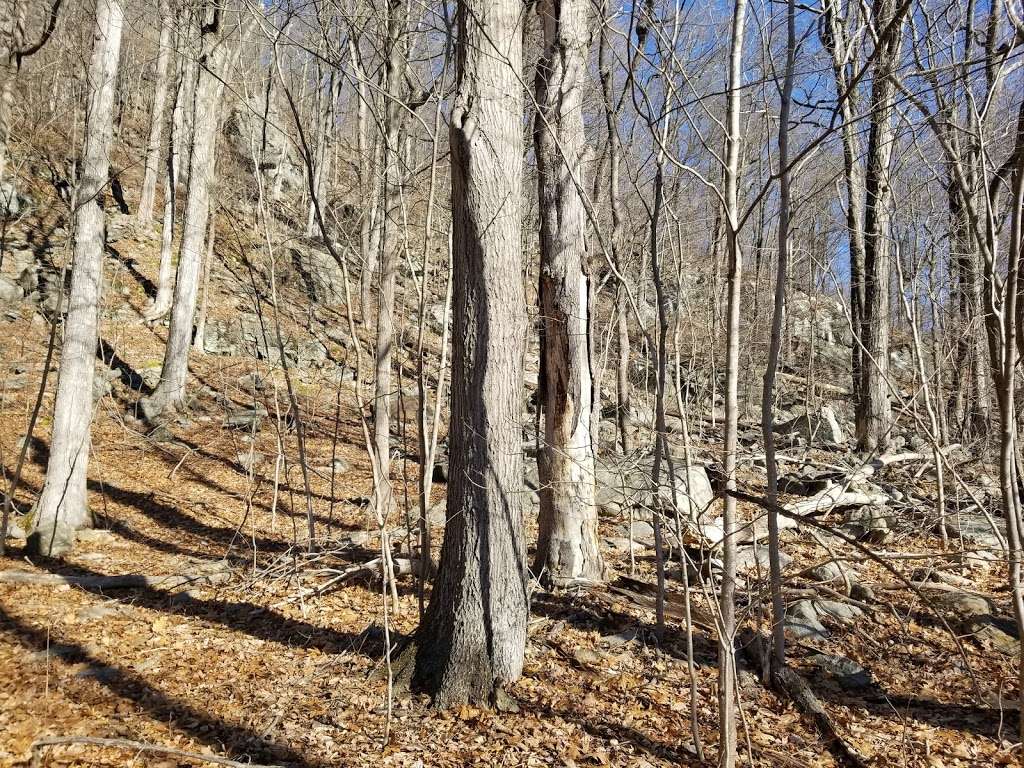 Wildcat Ridge Wildlife Management Area - Bat Hibernaculum Area | 19 Lower Hibernia Rd, Hibernia, NJ 07842, USA