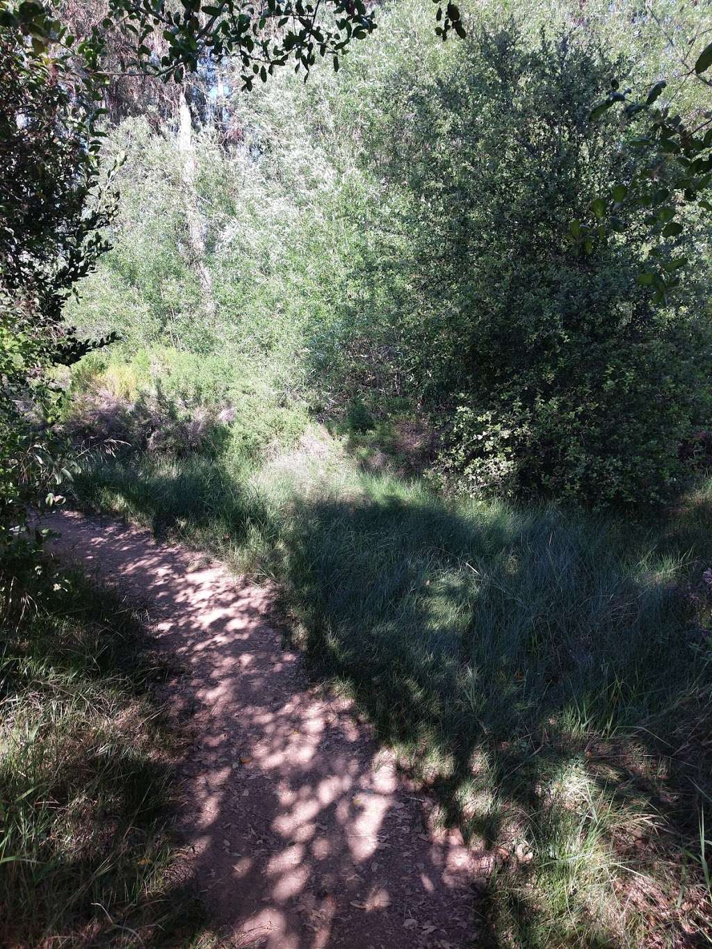 Abeja Loop Trail | Las Posas Rd, San Marcos, CA 92069, USA